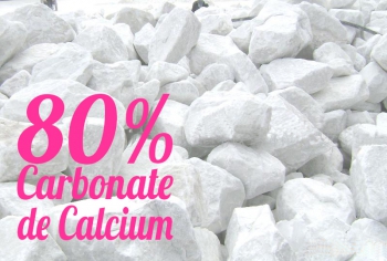 Carbonate de calcium